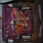 Vraj-Yatra-2014- (881)